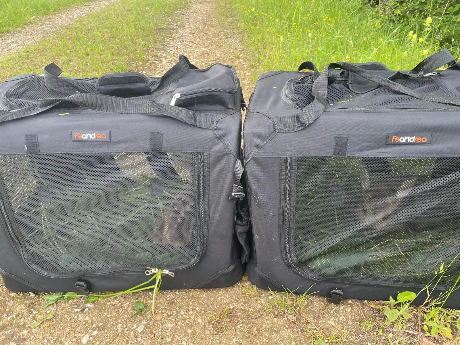 Mehrere Transportboxen