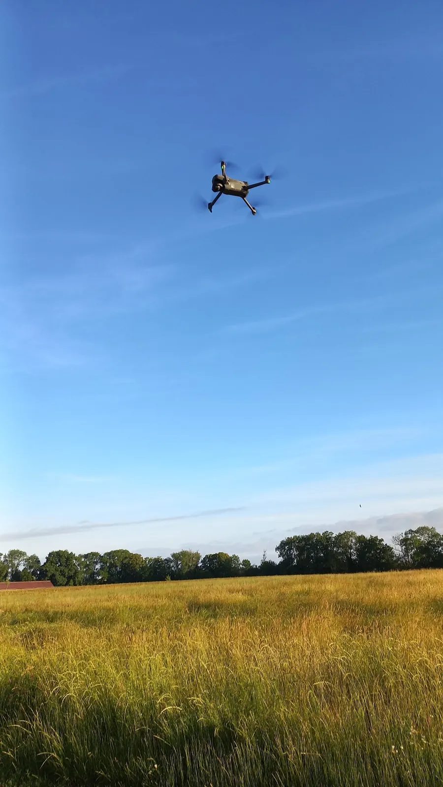 Drohne fliegt über einer Wiese